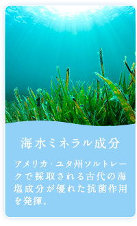 海水ミネラル成分 アメリカ・ユタ州ソルトレークで採取される古代の海塩成分が優れた抗菌作用を発揮。